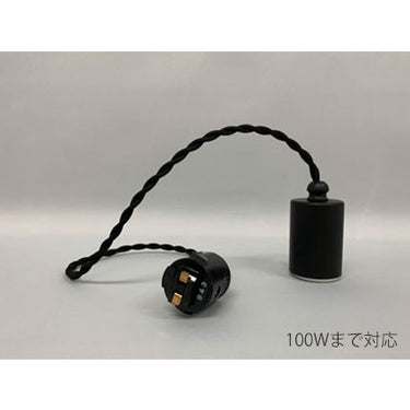 電球専用ネジリローカン吊器具BK・DP付55