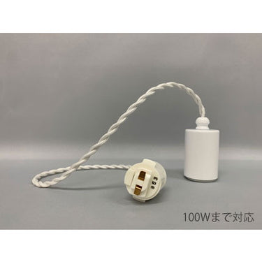 電球専用ネジリローカン吊器具WH・DP付55