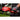 milwaukee M18FHET60G20JP M18 FUEL 630mm ヘッジトリマー NEW