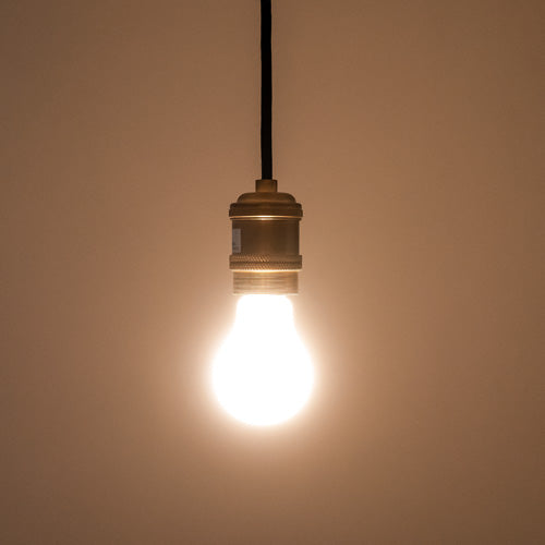 BRID VINTAGE NORMAL LED BULB E26 ホワイト