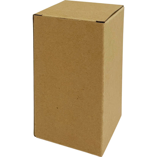 BRID VINTAGE NORMAL LED BULB E26 クリア