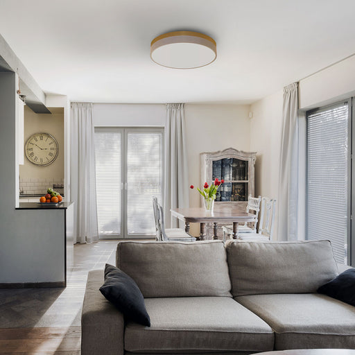 BRID オリカ LEDシーリングライト Ver.2