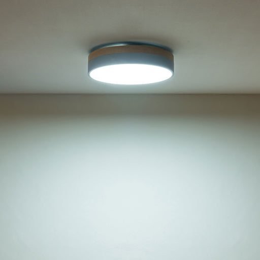 BRID オリカ LEDシーリングライト Ver.2