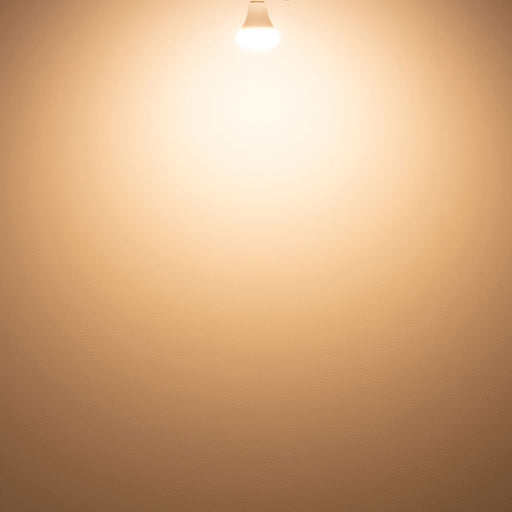 BRID プランツライト60