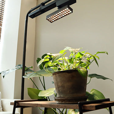BRID LED スポットライト for プランツ 10W