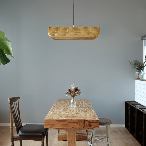 BRID ラタン ペンダントランプ ４灯