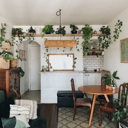 BRID ラタン ペンダントランプ ４灯