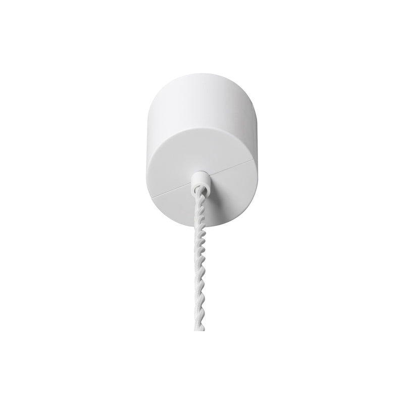 BRID イオン LED ペンダントライト Sサイズ