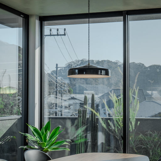 BRID イオンLEDペンダントライト Lサイズ