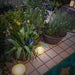 ディクラッセ LA5390FR LED Solar stone ソーラーストーン