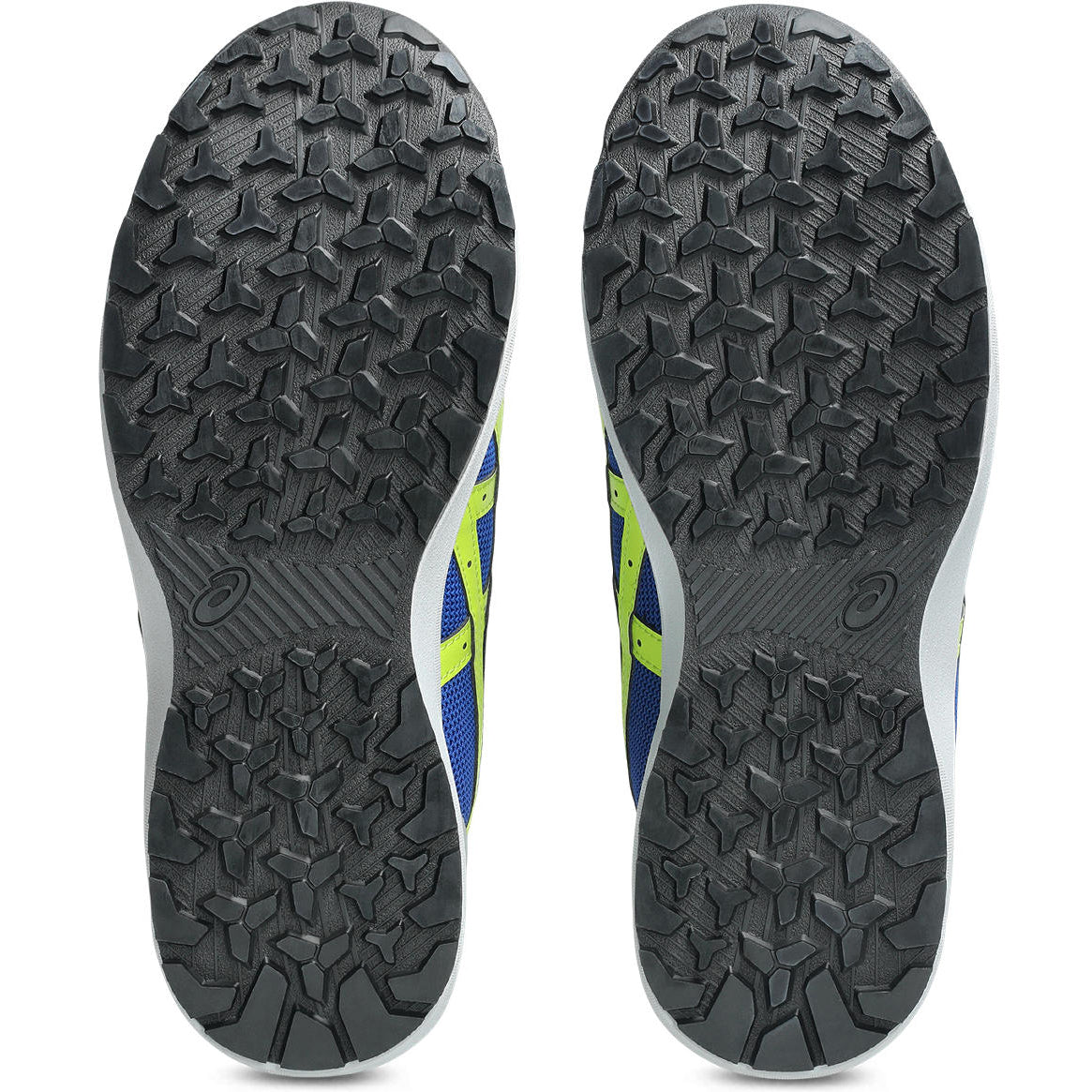 ウィンジョブ® CP219 BOA アシックスブルー×ネオンライム 3E相当