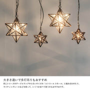 DI CLASSE LP3020FR ペンダントランプ Etoile FR エトワール ホワイトフロスト