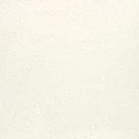 名古屋セラミックス バチカン 336AB618 スノーホワイト 300角磨き 11枚/ケース 屋内床 居室床 屋内壁 浴室壁