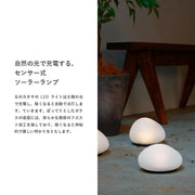 ディクラッセ LA5390FR LED Solar stone ソーラーストーン