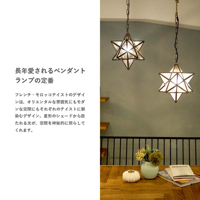 DI CLASSE LP3020FR ペンダントランプ Etoile FR エトワール ホワイトフロスト