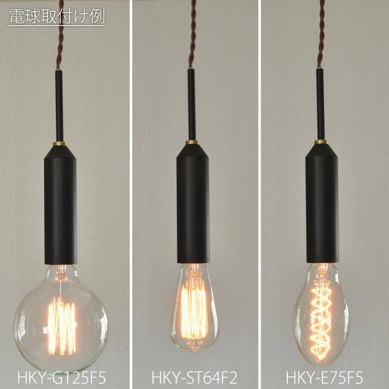 ELUX CC-P102-BK 照明 GENON ゲノン 1灯ペンダントライト