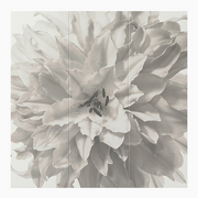 エコカラットセルフ　Flower①　ECSF‐1260S/14　ECSF‐9090S/14 9090セット