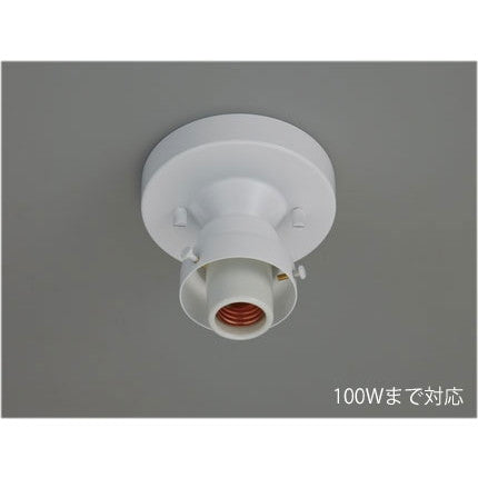 ビス止め65直付(白塗装)