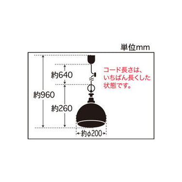 オリオン(鉄鉢･CP型BR)