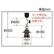 〆付けブラックガードアルミP1SBB･CP型BK 電球ナシ