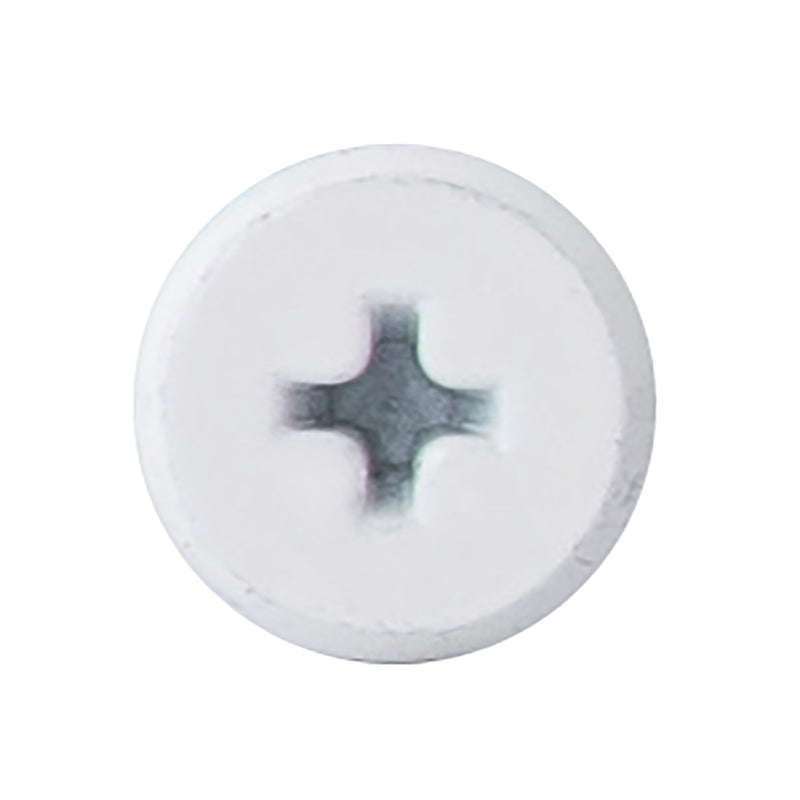 ラックビス バリューパック　40mm　64本入り ホワイト　LAC00WV