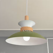 ELUX 照明 NORDY1 ノルディ1 1灯ペンダントライト オリーブ