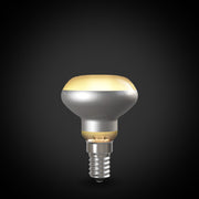 ビートソニック OnlyOne サイフォン LDF002D レフ（E14)