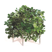 DI CLASSE(ディクラッセ)のテーブルランプ｜Orland オーランド グリーン