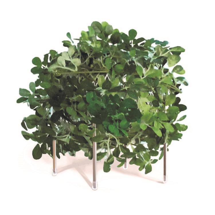 DI CLASSE(ディクラッセ)のテーブルランプ｜Orland オーランド グリーン