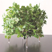 DI CLASSE(ディクラッセ)のテーブルランプ｜Orland オーランド グリーン