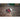 milwaukee M18ALIS0APJ M18 コンパクトワークライト NEW