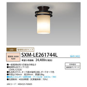 高級感あるお部屋の演出に　LED小型シーリング　電球形ＬＥＤランプ　電球色