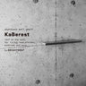 後付けできるステンレスウォールシェルフ KaBerest カベレスト　上下セット W300ｍｍ