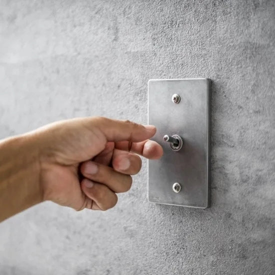 ゾルボンヌ ZS4-101 トグルスイッチプレート アルミダイカスト1連