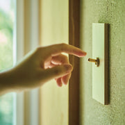 ゾルボンヌ ZS6-101/BR トグルスイッチ プライウッドメープルシリーズ 1連 真鍮レバー 新商品