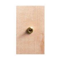 ゾルボンヌ ZS6-101/BR トグルスイッチ プライウッドメープルシリーズ 1連 真鍮レバー 新商品