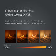 OnlyOne サイフォン LDF401D グラデーション ザ・バルブ A60調色1800～2700K（E26）