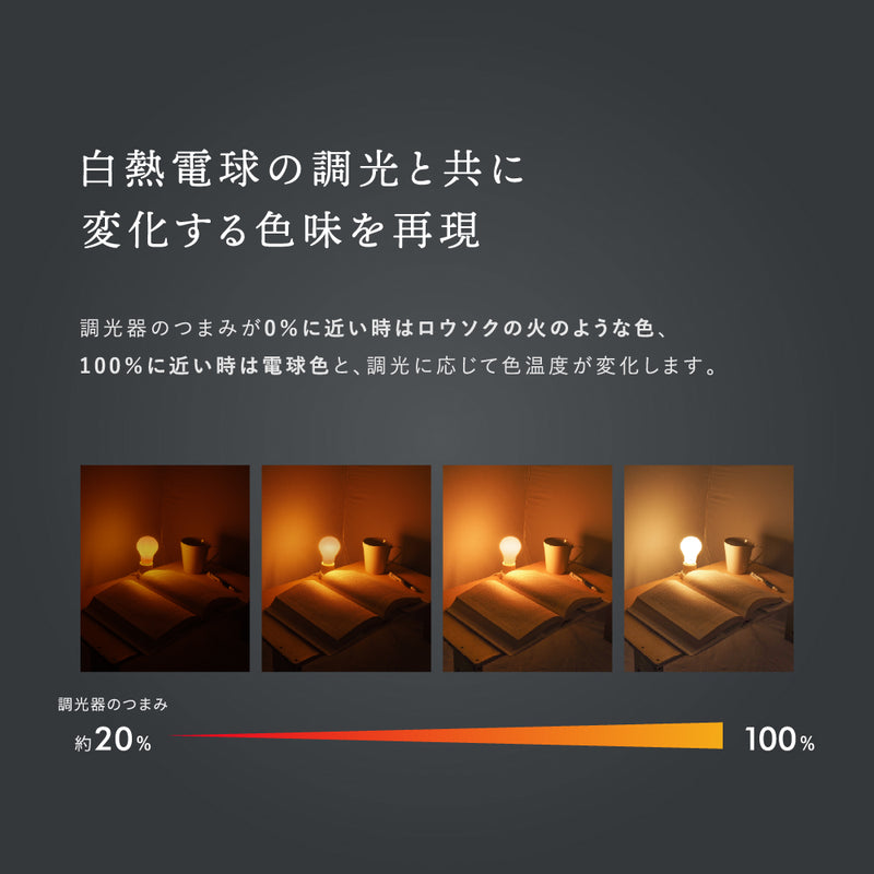 OnlyOne サイフォン LDF401D グラデーション ザ・バルブ A60調色1800～2700K（E26）