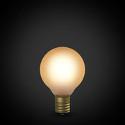 OnlyOne サイフォン LDF59D ボール50フロスト（E17)2200K