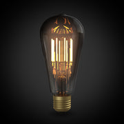 OnlyOne サイフォン LDF95D エジソン黒（E26)2200K