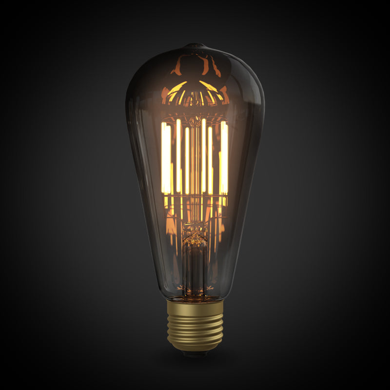 OnlyOne サイフォン LDF95D エジソン黒（E26)2200K