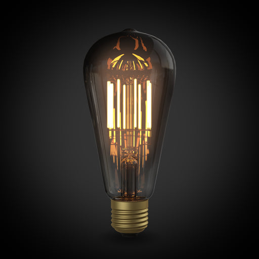 OnlyOne サイフォン LDF95D エジソン黒（E26)2200K