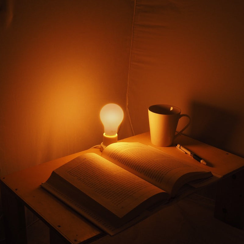 ビートソニック OnlyOne サイフォン LDF402D Gradation Ball50 調色1800～2700K（E17）