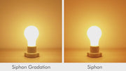ビートソニック OnlyOne サイフォン LDF402D Gradation Ball50 調色1800～2700K（E17）
