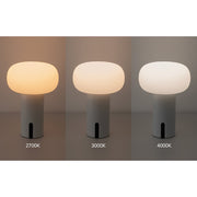 ビートソニック YPL03WH SAARIS ポータブルランプ ホワイト NEW