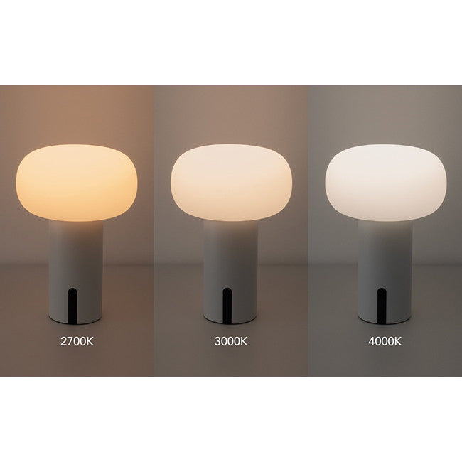 ビートソニック YPL03WH SAARIS ポータブルランプ ホワイト NEW