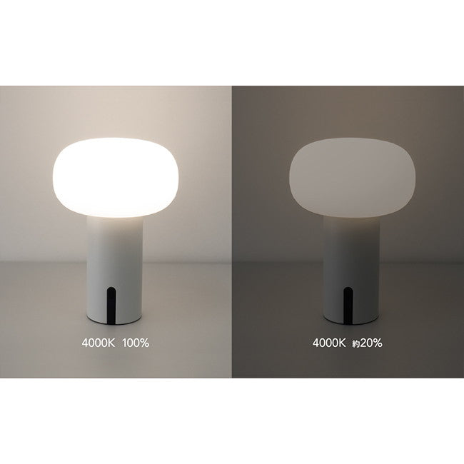 ビートソニック YPL03WH SAARIS ポータブルランプ ホワイト NEW