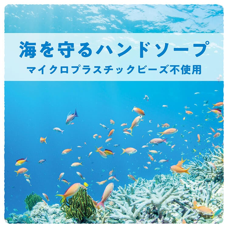サラヤ 植物性スクラブハンドソープ 23157 スクラビンN17kg八角B.I.B.